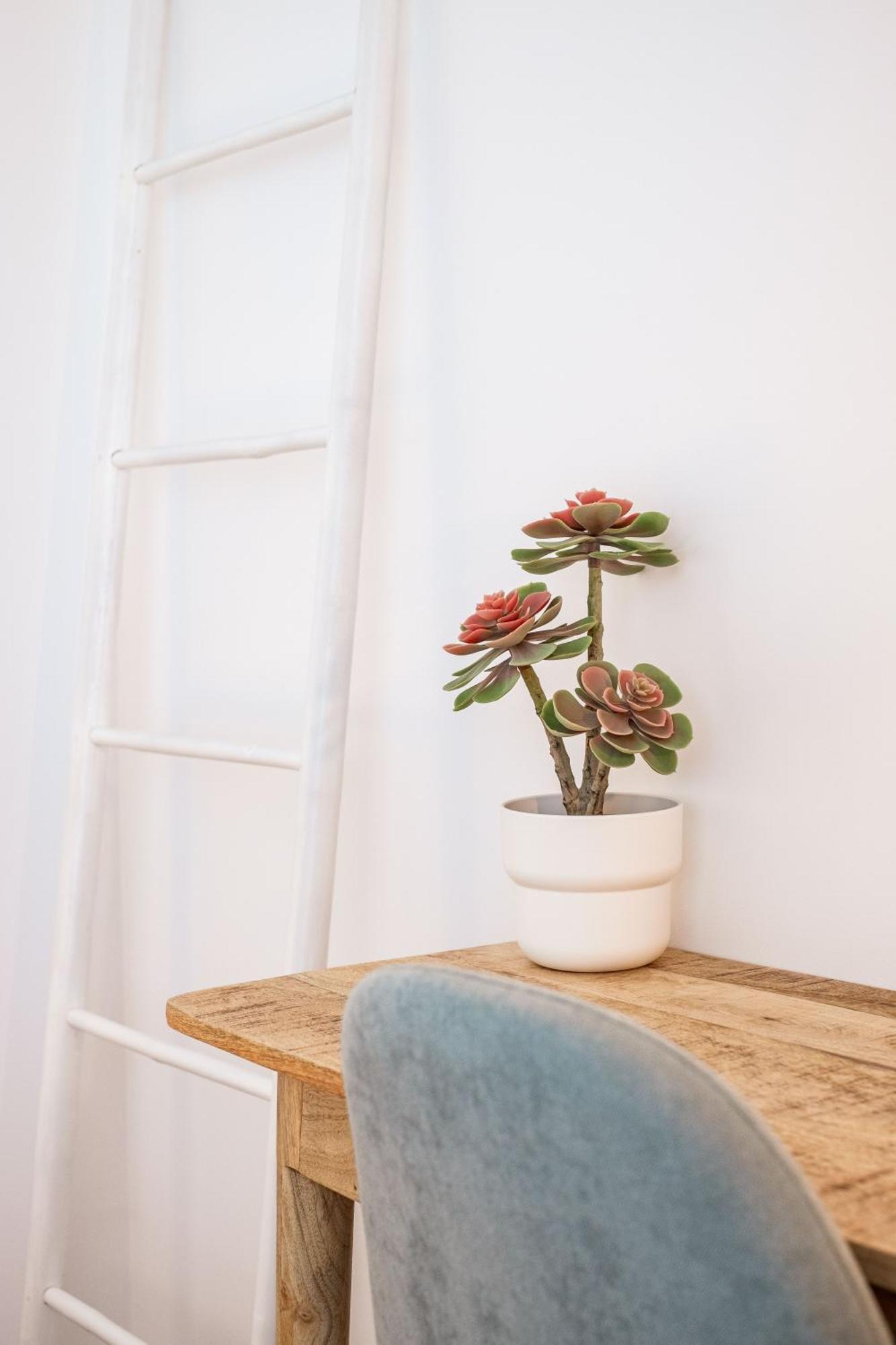 Casa Vica - Sagres Design Apartments Room photo